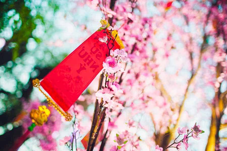 chinese new year tea gifts