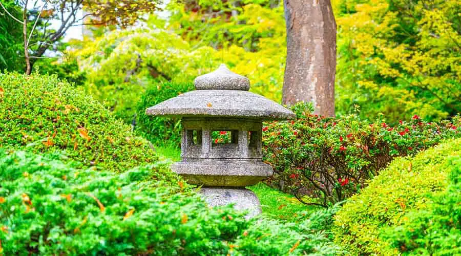 tea related outings - japanese tea garden