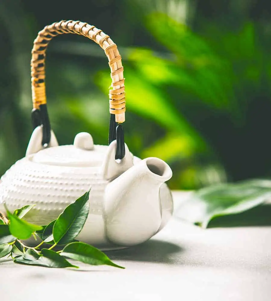 teapot gifts